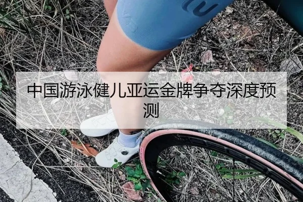 中国游泳健儿亚运金牌争夺深度预测